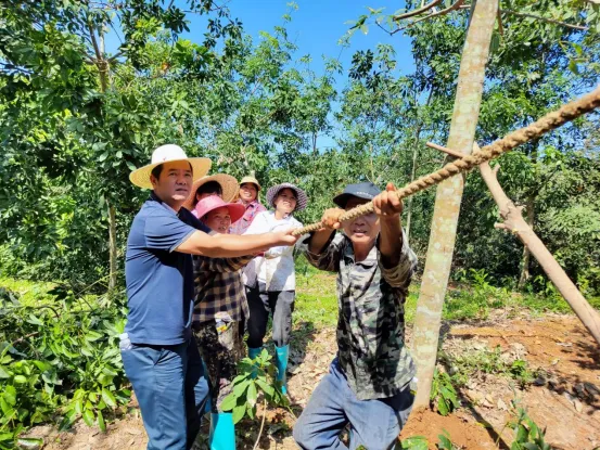 1736730710254032568.jpg 1736730710254032568.jpg