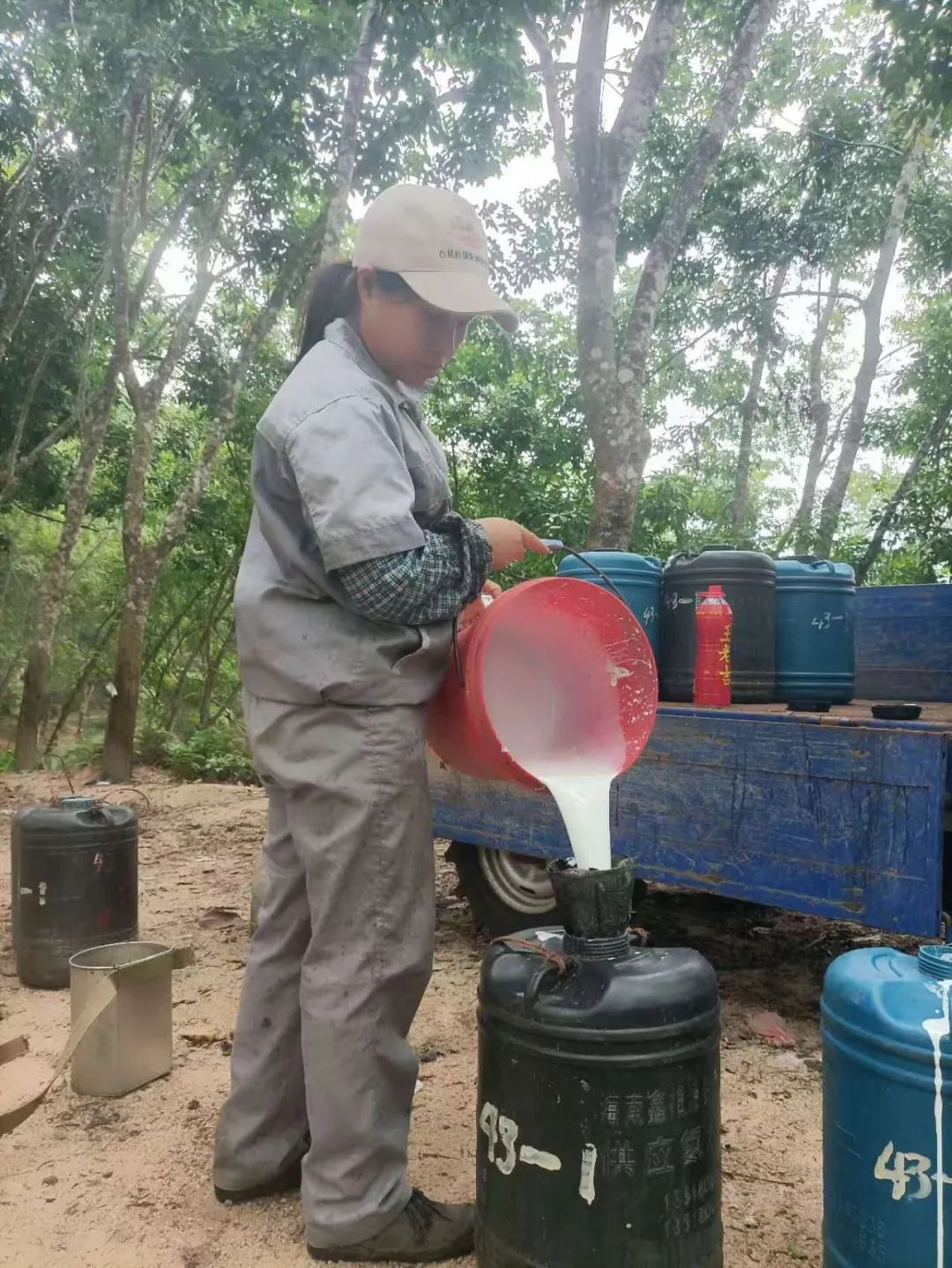 1747638295840045430.jpg 1747638295840045430.jpg