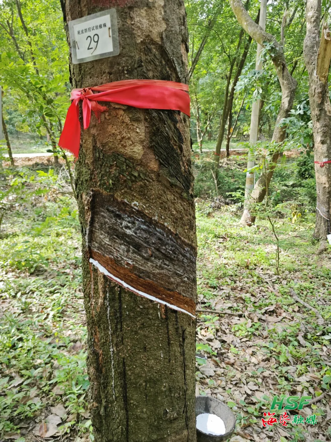 1752747379673079847.jpg 1752747379673079847.jpg