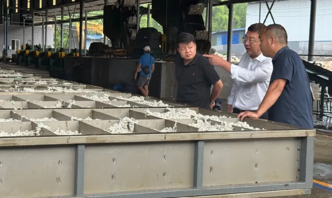 1756474179586040645.jpg 1756474179586040645.jpg