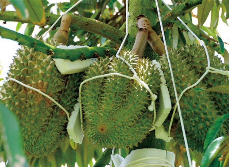 1758252413808045063.jpg 2.jpg