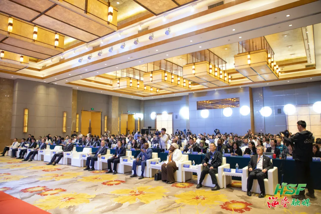 1765031644137080434.jpg 1765031644137080434.jpg