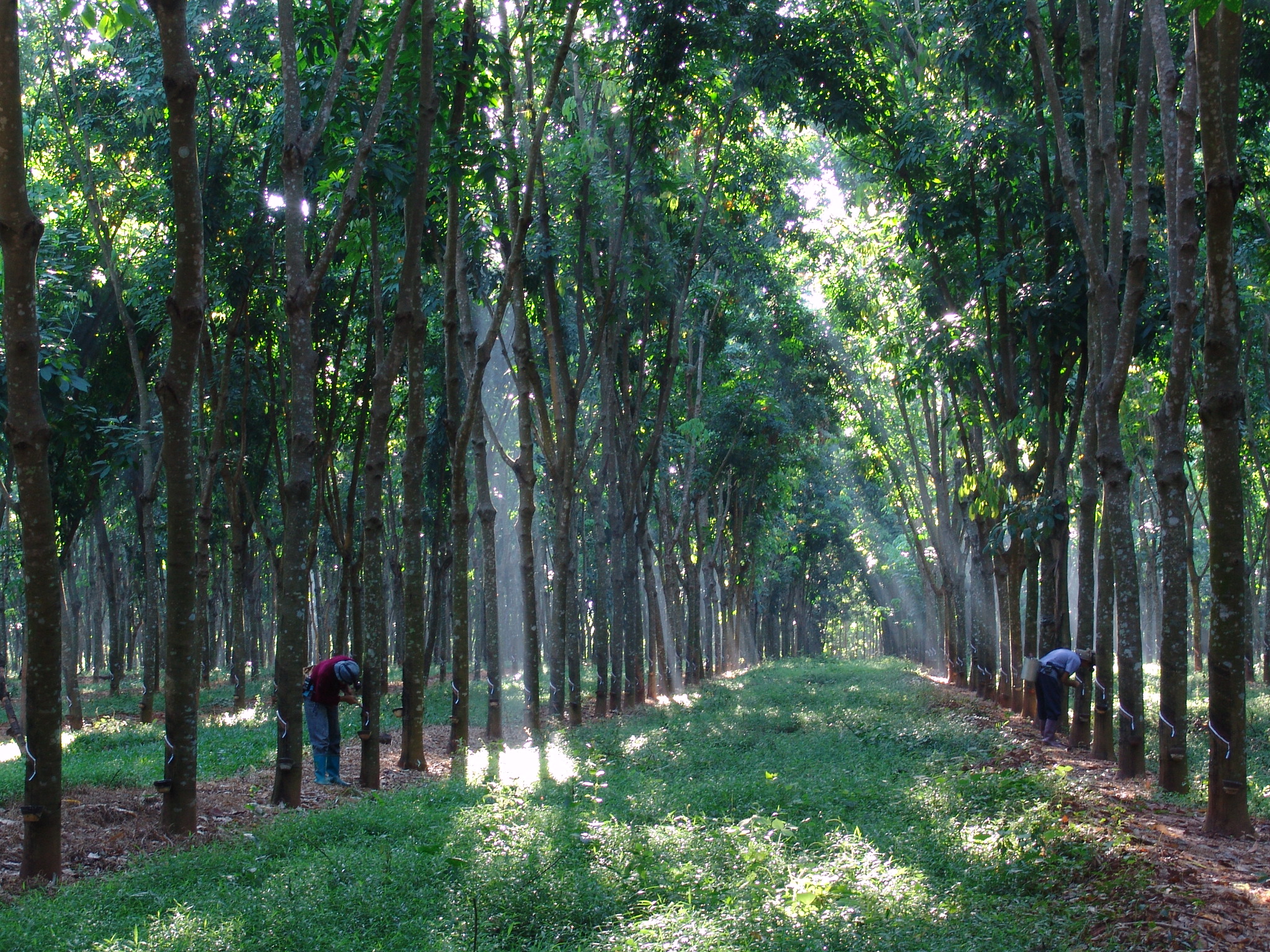 1692348925001098826.jpg 1692348925001098826.jpg