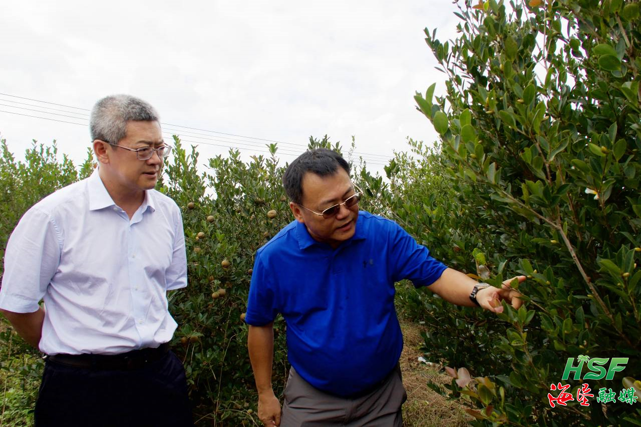 1699760423228091078.jpg 1699760423228091078.jpg