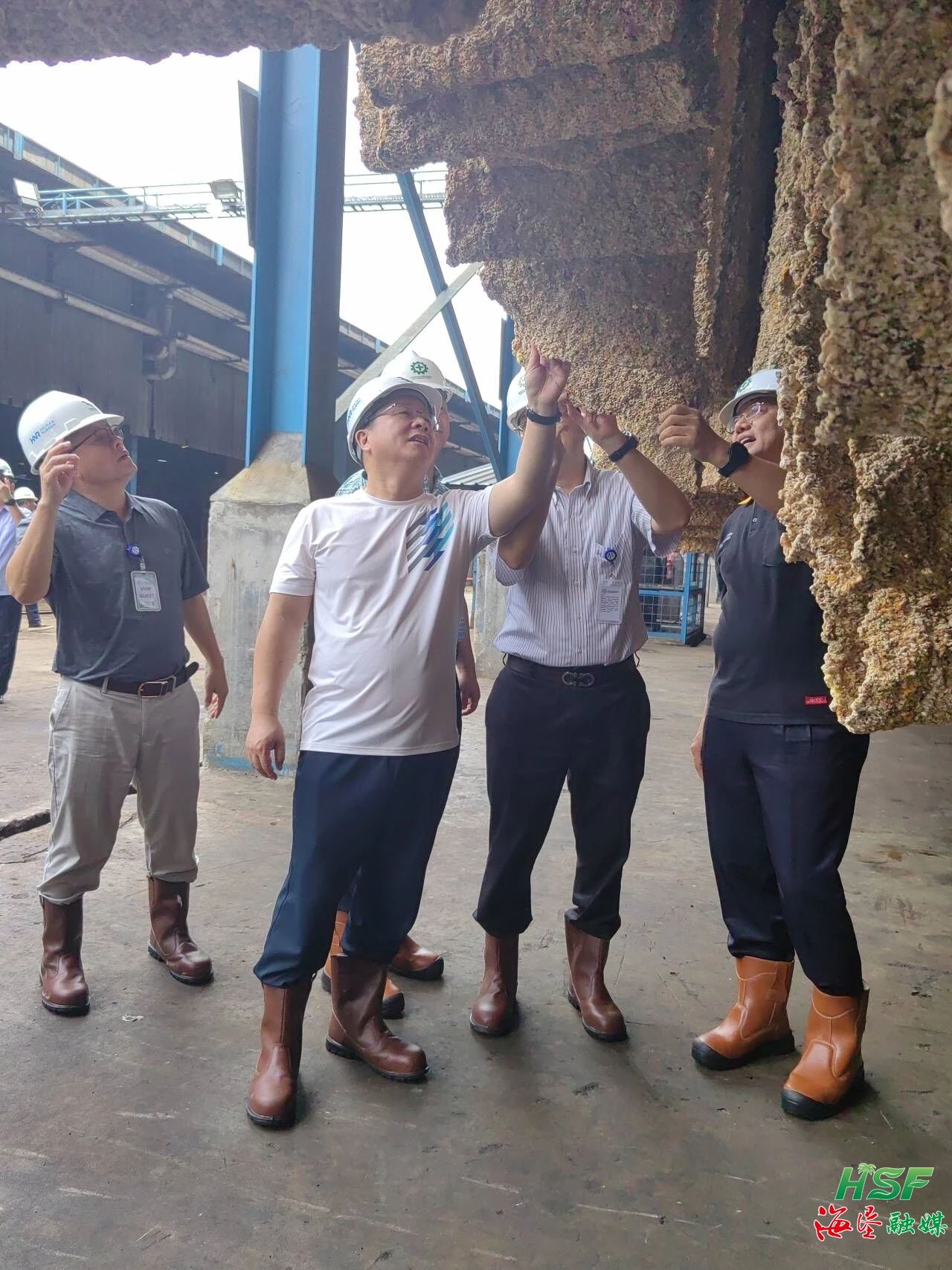 包洪文一行調研合盛農(nóng)業(yè)SGO加工廠。